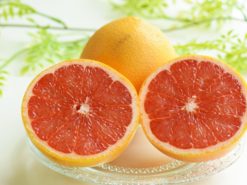 グレープフルーツ