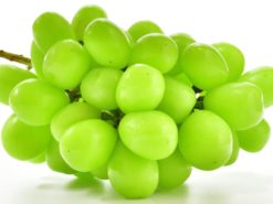 高級マスカット