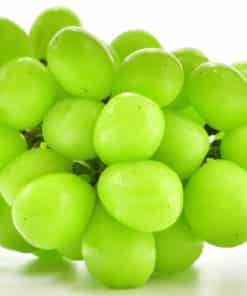 高級マスカット