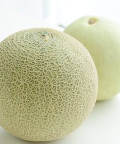 メロン