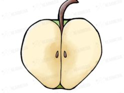 切ったリンゴ(青)