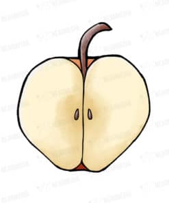 切ったリンゴ(赤)