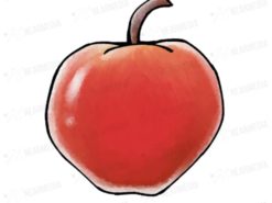 リンゴ(赤)