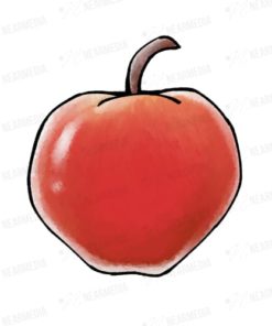 リンゴ(赤)