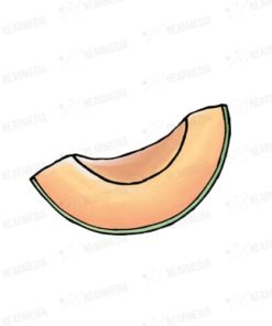 切ったメロン（赤肉）